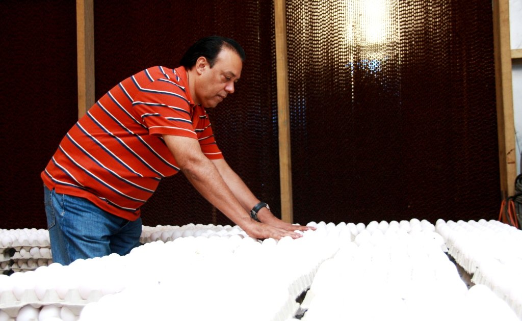 Productor mocano organiza los huevos